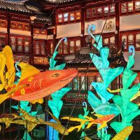 評論圖片 6