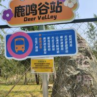 評論圖片 1