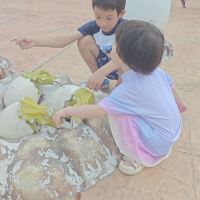 評論圖片 4