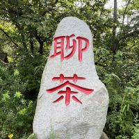 評論圖片 8