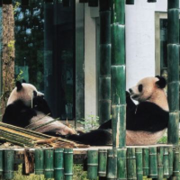 評論圖片 5