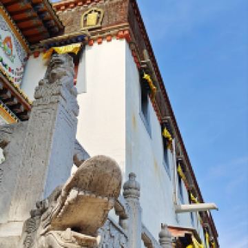 評論圖片 6