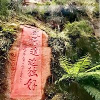 評論圖片 4