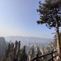 評論圖片 8