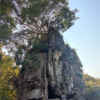 評論圖片 5
