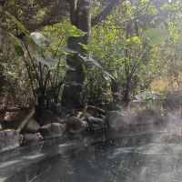 評論圖片 4