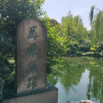 評論圖片 8