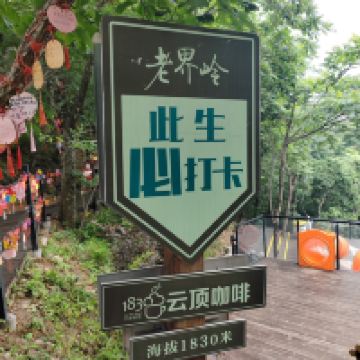 評論圖片 5