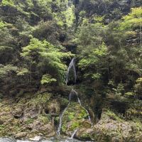 評論圖片 7