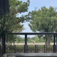 評論圖片 3