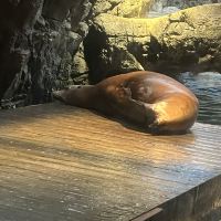 評論圖片 4
