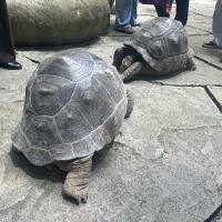 評論圖片 4