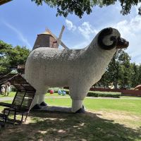 評論圖片 5