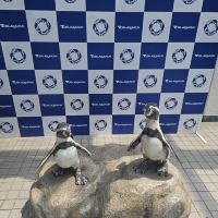 評論圖片 8