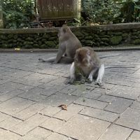 評論圖片 1