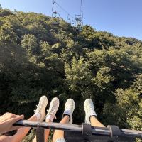 評論圖片 8