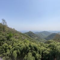 評論圖片 6