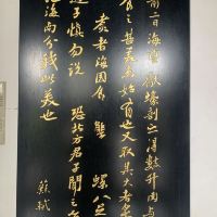 評論圖片 6