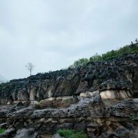 評論圖片 8