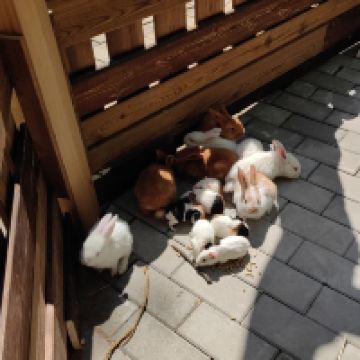 評論圖片 5