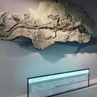 評論圖片 7