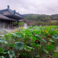 評論圖片 5