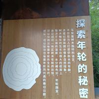 評論圖片 6