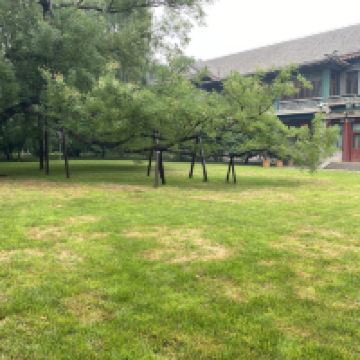 評論圖片 4