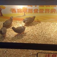 評論圖片 6