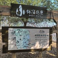 評論圖片 2