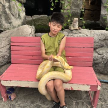 評論圖片 8