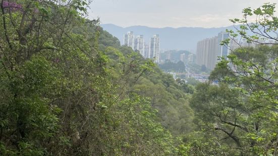 风景优美，再次回到南通，四年时间里没有去过狼山，首次去看了之