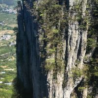 評論圖片 7