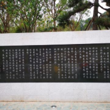 評論圖片 8