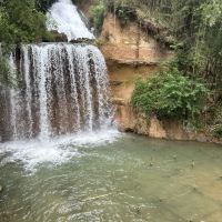 評論圖片 1
