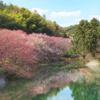 評論圖片 4