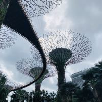 評論圖片 3