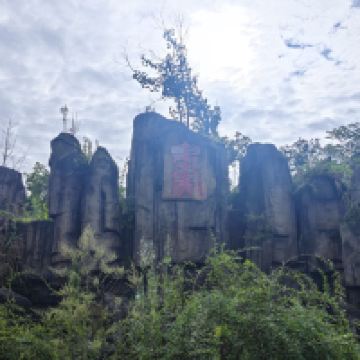評論圖片 4