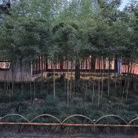 評論圖片 7