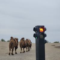 評論圖片 1