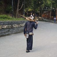 評論圖片 5