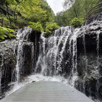 評論圖片 4