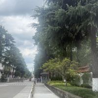 評論圖片 5