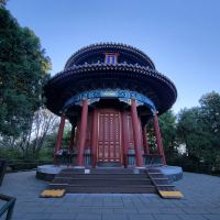 評論圖片 2