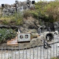 評論圖片 9