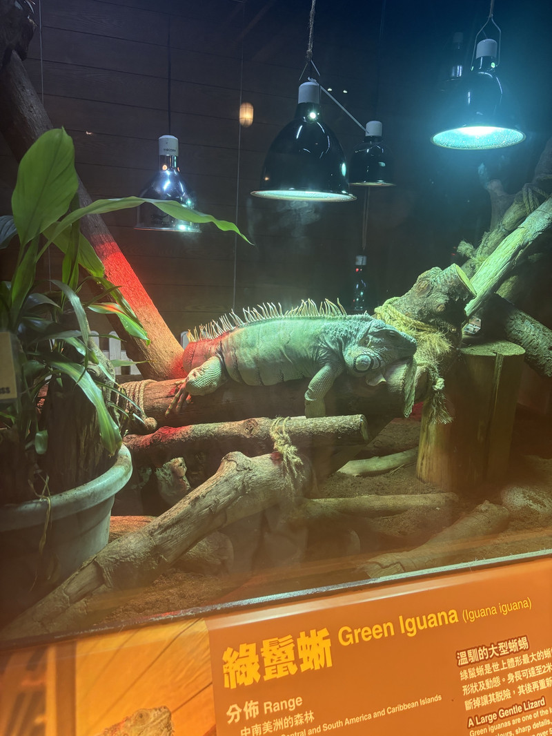 香港挪亞方舟用戶評價