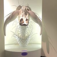評論圖片 6