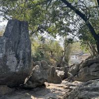 評論圖片 6