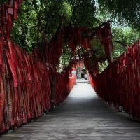 評論圖片 7
