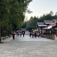 評論圖片 1